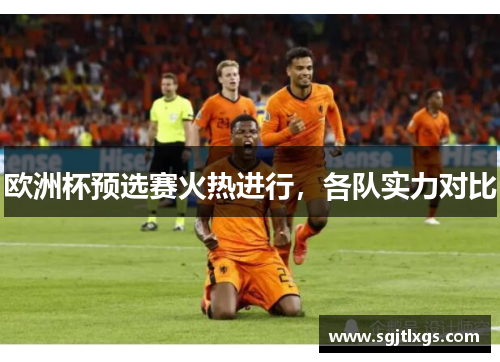 欧洲杯预选赛火热进行，各队实力对比