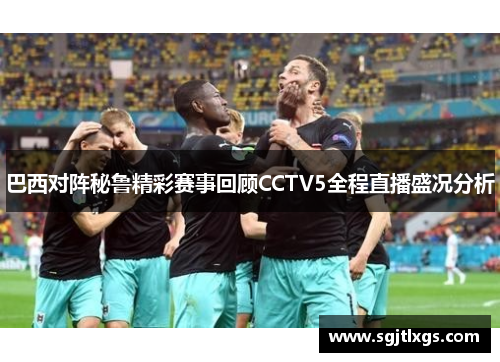 巴西对阵秘鲁精彩赛事回顾CCTV5全程直播盛况分析